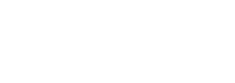 dorsey & company logo